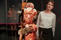 BODY WORLDS Berlin entrance tickets