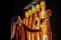 BODY WORLDS Heidelberg entrance tickets