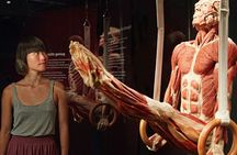 BODY WORLDS exhibition in Chemnitz