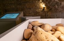 Le Petit Musée du Vin ticket with wine tasting in Lyon