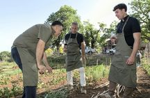 Etna wine tasting and Sicilian culinary experience