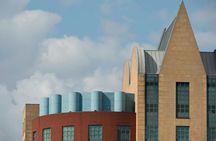 Navigate Antwerp's most Insta-perfect spots with a local