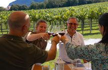 Wine tour in the Euganean Hills from Padua