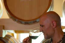 Wine tour in the Euganean Hills from Padua