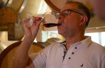 Wine tour in the Euganean Hills from Padua