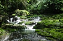Guided tour to intact jungle and cascading waterfalls