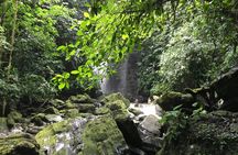 Guided tour to intact jungle and cascading waterfalls