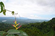 Napo Province primary rainforest guided tour with a local