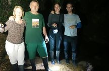 Guided wildlife tour in the Ecuadorian Amazon at night