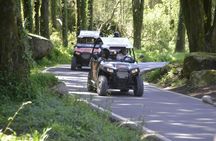 Buggy Sightseen Ride in Sintra and Cascais Coastline