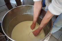 Farm tour and mozzarella making experience near Ostuni