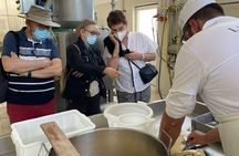 Farm tour and mozzarella making experience near Ostuni