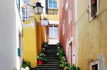 Private 4x4 off-road half day tour of Sintra with local guide