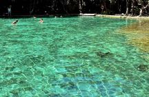 Full day small group jungle tour in Krabi's rainforest with lunch