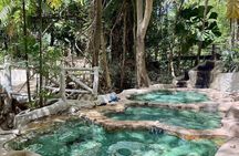 Full day small group jungle tour in Krabi's rainforest with lunch