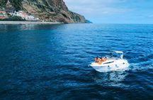 Whale and dolphin watching private tour