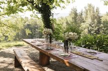 Organic Farm Picnic among Hills and Vineyards of Lake Garda