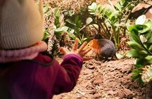 Transfer to Prague Zoo with audio guide