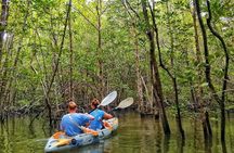 Half-Day Thung Yee Peng's mangrove kayaking tour with lunch