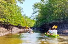 Half-Day Thung Yee Peng's mangrove kayaking tour with lunch