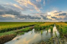 Valencia and La Albufera day trip with boat ride from Alicante