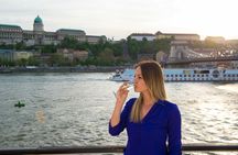 Danube cruise with audioguide and panorama terrace