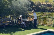 Exclusive Douro Valley lunch with estate wine pairings