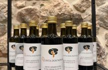 Wine tasting at Quinta dos Novais in Douro Valley