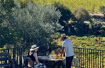 Wine tasting at Quinta dos Novais in Douro Valley