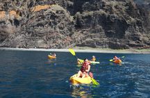 Masca Gorge kayak and snorkel tour from Los Gigantes