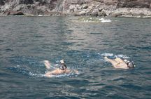 Masca Gorge kayak and snorkel tour from Los Gigantes