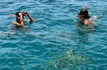 Phi Phi Islands full-day highlights tour with lunch in small groups