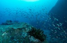 Similan Islands yacht cruise with lunch from Phuket or Khao Lak