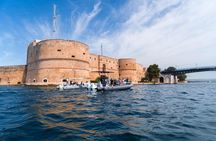 Dolphin watching boat tour in in Taranto