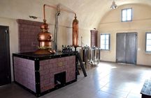 Flavors of Santorini food and wine tour
