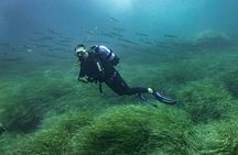 SSI 1 day scuba diver course in Mallorca
