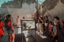 Pompeii and Mount Vesuvius full-day excursion from Rome