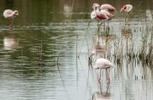Montanejos and La Albufera day trip with boat ride from Valencia
