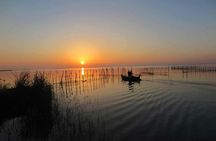 Albufera wildlife boat tour with meal included