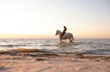 Santorini horseback ride and wine-tasting private experience