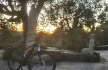 Fátima guided e-bike tour with sanctuary and shepherds' houses