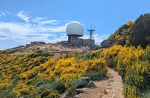 Pico do Arieiro 4-Hour Private Excursion
