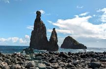 Madeira's North Side express private tour