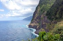 Madeira's North Side express private tour