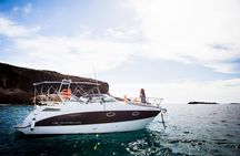 Small-group cruise in Tenerife