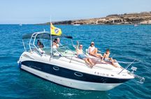 Small-group cruise in Tenerife