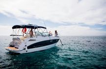 Small-group cruise in Tenerife