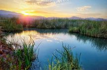 Tecopa hot springs guided tour from Las Vegas