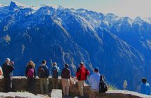 Colca Canyon full-day tour with Condor viewpoint from Arequipa