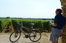 Half-day bike and wine tour in Côte de Beaune